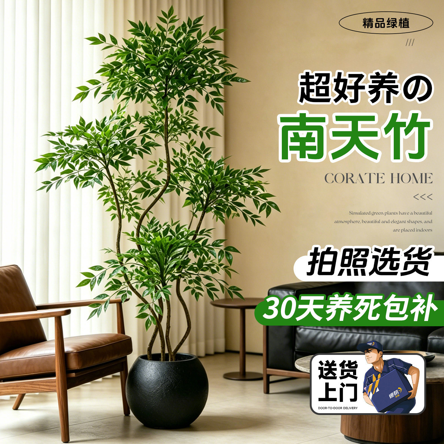 南天竹客厅绿植盆栽室内高级感图片