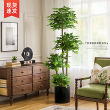 中古风仿真幸福树装饰室内假绿植大型落地摆件客厅轻奢直播间植物