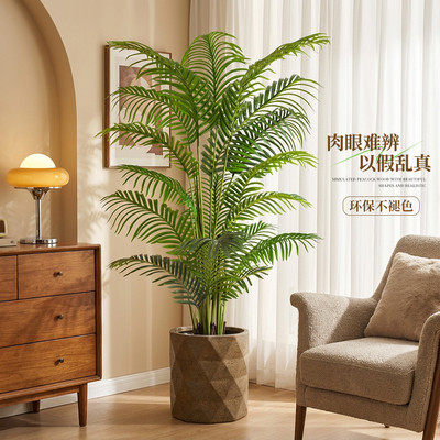 仿真绿植散尾葵中古风室内客厅
