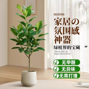 仿真绿植孟加拉榕盆栽仿生植物室内大型高端轻奢树客厅落地装饰树