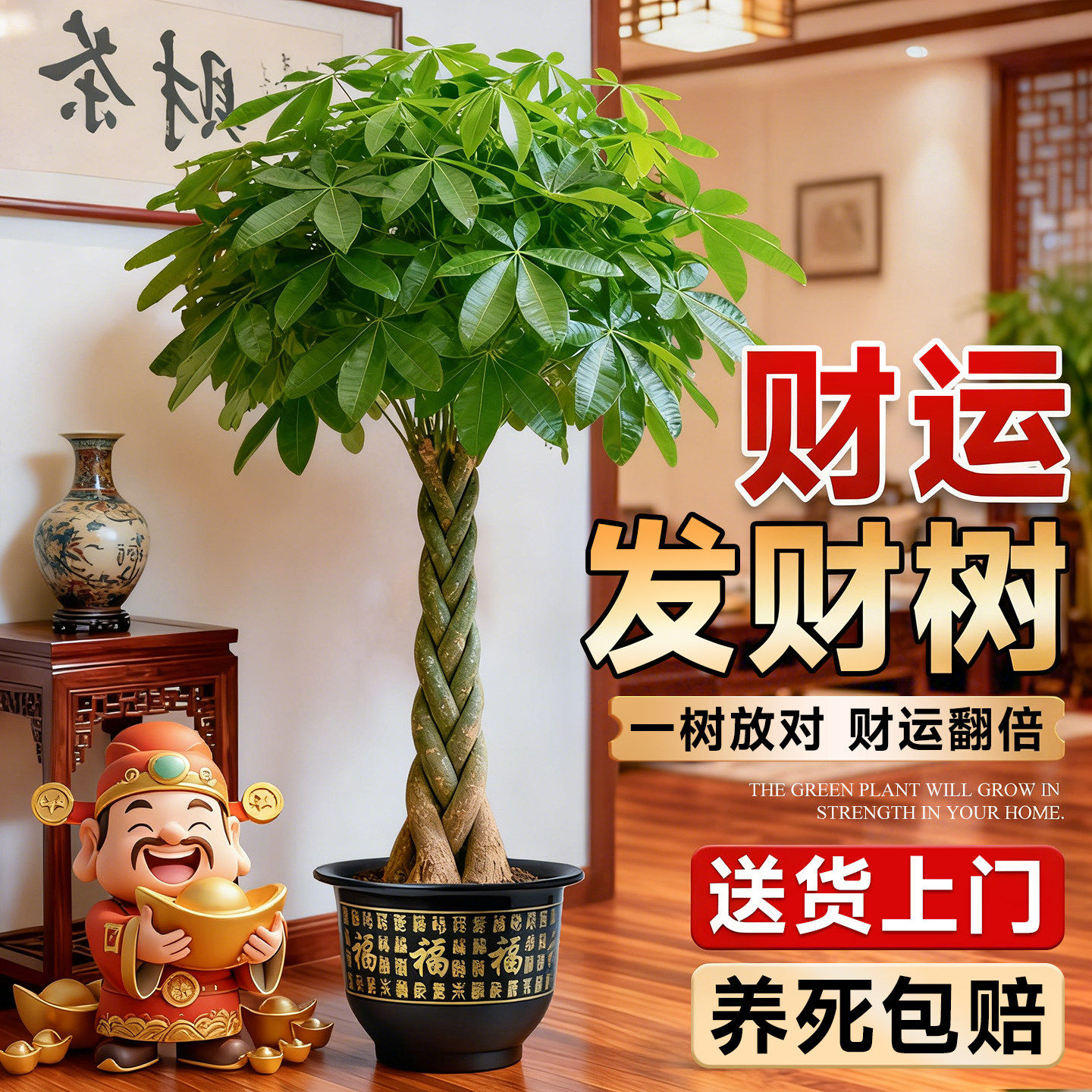 辫子发财树盆栽大型招财树室内客厅旺宅盆景绿植乔迁之喜开业送礼,鲜花速递/花卉仿真/绿植园艺,大型绿植/成品组合盆栽,淘宝优惠券,粉丝福利购,淘宝优惠卷