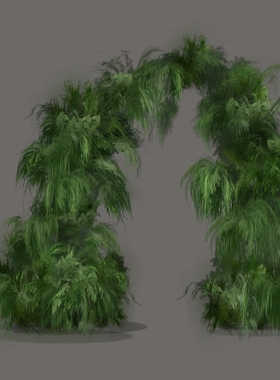 h350婚礼花艺素材黄绿色绿植芦荀草马尾松高级感小众设计