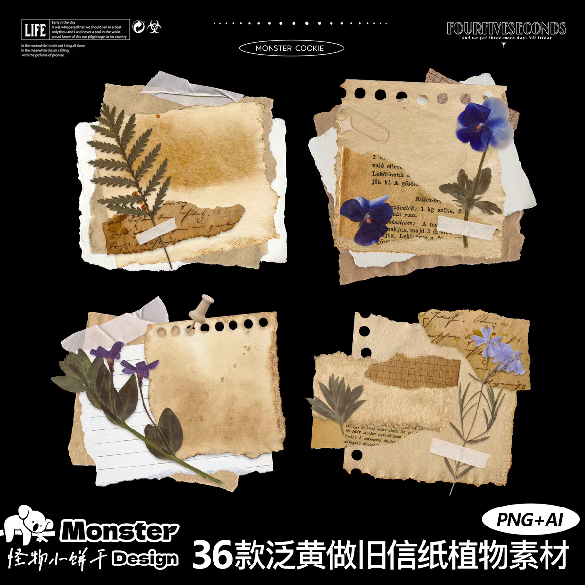 复古做旧纸张 美工手账拼贴素材 干花植物装饰图案 png免抠素材