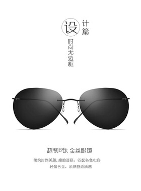 纯钛无框太阳镜墨镜偏光镜经典蛤蟆镜防紫外线Titanium AN E超轻