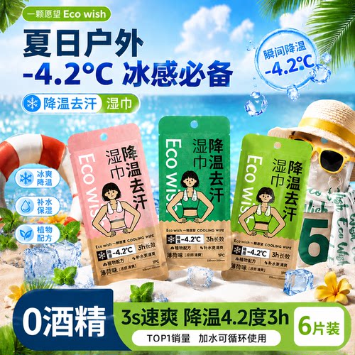 ecowish降温湿巾3s速爽6片装