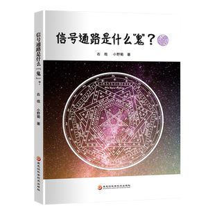 信号通路是什么