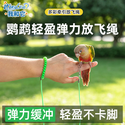 鹦鹉牵引绳外出放飞溜鸟绳小鸟玄凤虎皮小太阳超轻脚环脚链神器