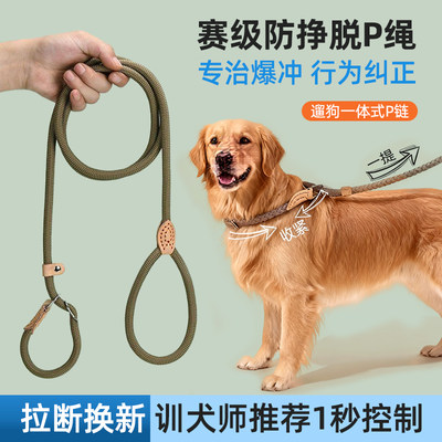 p链防爆冲P绳大型犬加粗牵引绳