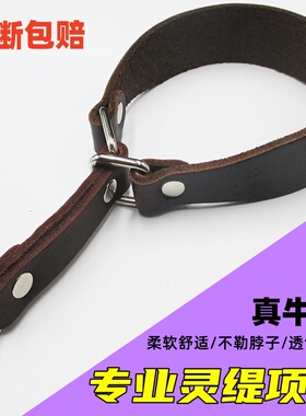 细犬项圈灵缇惠比特二特狗颈犬真牛皮按钉加厚耐拉耐咬猎兔犬脖套