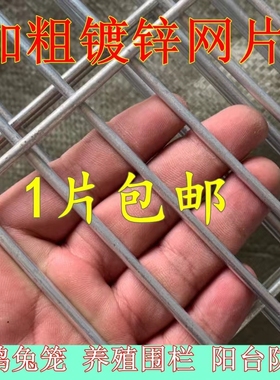 长孔镀锌铁丝网片鸽舍围网热镀锌钢丝网养殖加粗加密地网防护格网