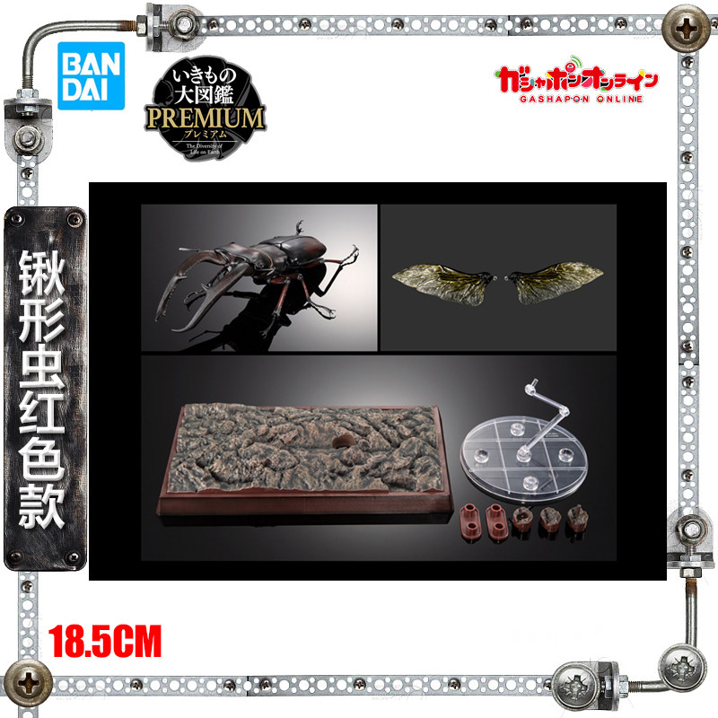 万代网限 生物大图鉴 Premium巨颚叉角锹形虫 收藏模型 红色 现货