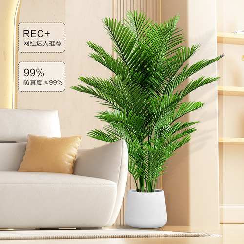 彷真植物散尾葵装饰客厅落地室内大型摆件彷生假盆栽高端轻奢绿植