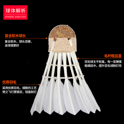 12 professional high-frequency training balls for badminton