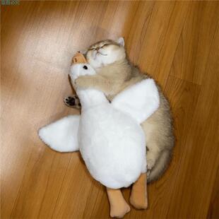 胖胖大白鹅猫咪睡觉抱玩具自嗨解闷神器质量好的猫咪用品大全