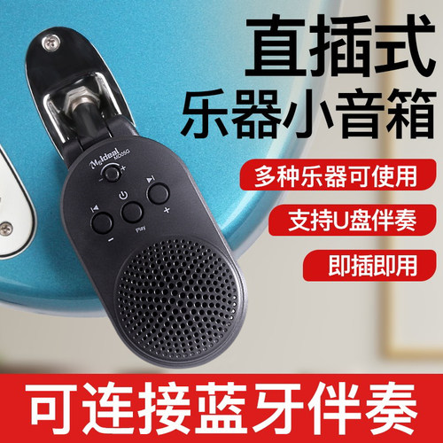 电吹管扩音乐器直插式小音箱电吉他专用户外音响蓝牙U盘伴奏舞台