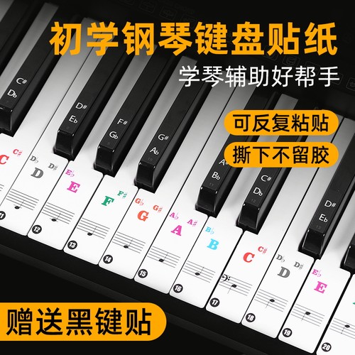 钢琴键盘贴纸五线谱音符电子手卷