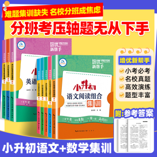 小升初语文阅读英语语法集训培优新帮手小学生英语阅读理解完形填空语法专项强化训练名著小古文小学升初中名校真题总复习练习题册