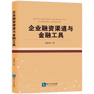 知识产权出版 正版 袁永科 企业融资渠道与金融工具 社9787513094115 2024新书