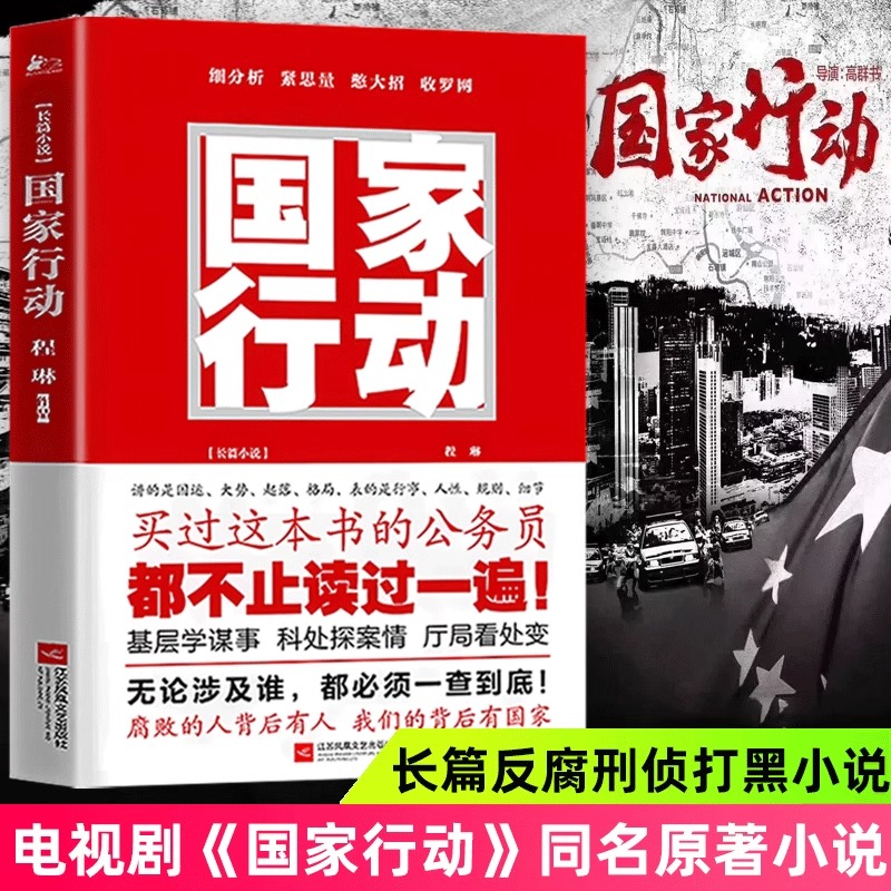 【认准正版】国家行动修订版 程琳著 张译主演同名电视剧 人民的名义同类长篇反腐刑侦原著官场小说 现当代文学畅销书籍排行榜