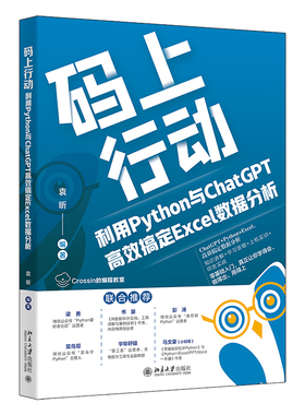 正版2023新书 码上行动 利用Python与ChatGPT高效搞定Excel数据分析 袁昕 北京大学出版社9787301341193