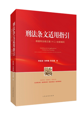 正版2024新  刑法条文适用指引 根据刑法修正案十二全新编写 时延安 刑法规范汇编立案标准量刑标准指导性案例实务 人民法院出版社