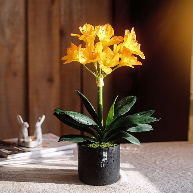 手感君子兰仿真花假花民宿家居盆栽客厅电视柜餐桌桌面摆件装饰花,家居饰品,仿真花/假花,淘宝优惠券,粉丝福利购,淘宝优惠卷