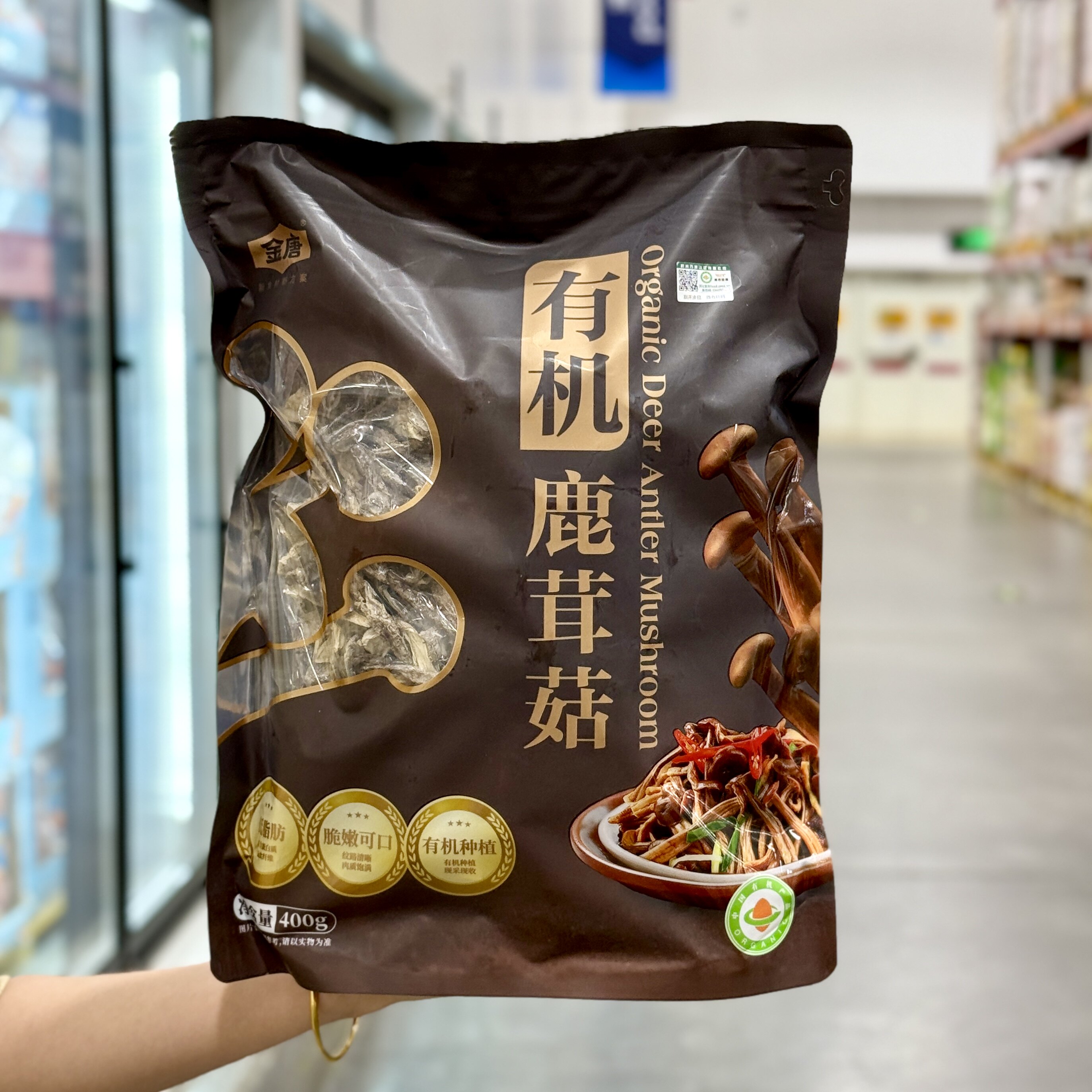 鹿茸菇煲汤炒菜火锅食材