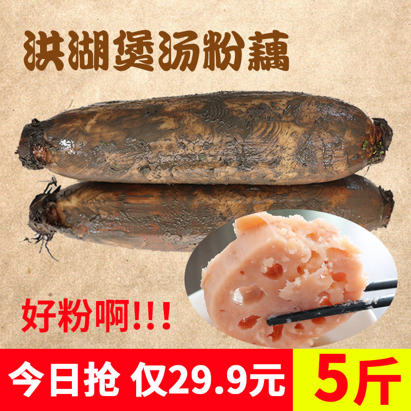 Honghu 5 Lotus fresh Soup Hubei specialty Abalone Liancai Lake lotus rootin the Aquatic meat/Fresh fruits and vegetables/Cooked , Fresh vegetables/Vegetable products , Fresh vegetables , Lotus  category - from Buy2taobao.com to provide professional Taobao agent buy service
