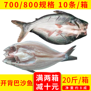 整箱湄公鱼烤鱼开背巴沙鱼带皮无刺新鲜冷冻整条清江鱼商用20斤