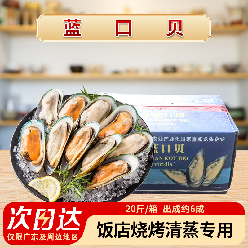 整箱港洋蓝口贝青口贝冰冻水产20斤件鲜活速冻淡菜烧烤食材商用