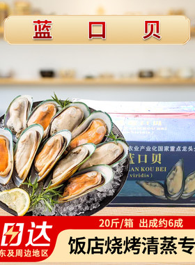 整箱港洋蓝口贝青口贝冰冻水产20斤件鲜活速冻淡菜烧烤食材商用
