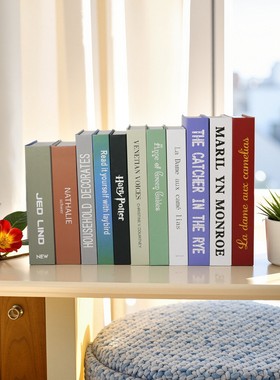 餐厅摆件酒店道具书现代简约艺术