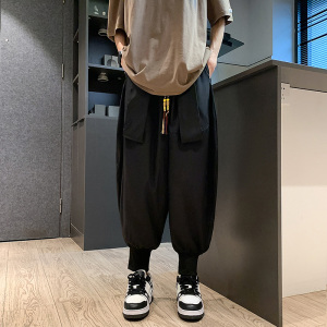 新中式C风小众设计冰丝嘻哈飞鼠裤哈伦裤K158-P58控78,秋季小香风上衣搭配什么裤子图片