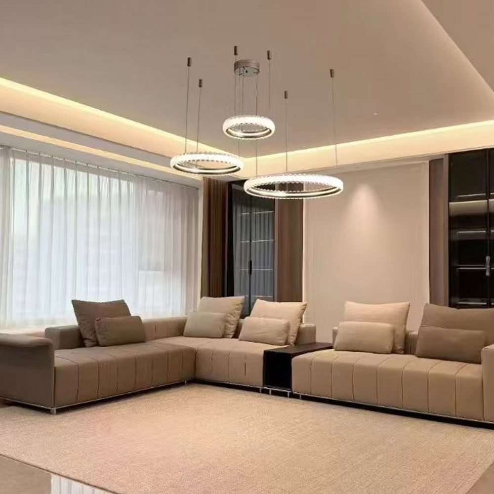 实体正品孔雀翎现代轻奢客餐厅吊灯具灯饰LED全光谱智能三色变光