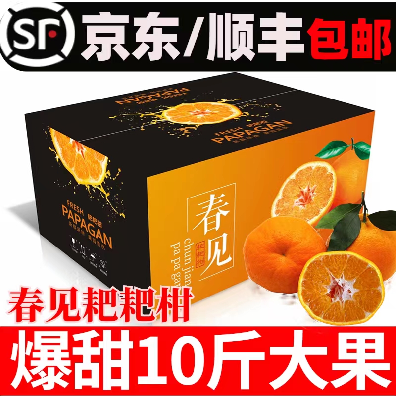 现摘四川春见耙耙柑特级礼盒整箱当季新鲜孕妇水果粑粑橘10斤包邮
