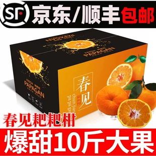 包邮 现摘四川春见耙耙柑特级礼盒整箱当季 新鲜孕妇水果粑粑橘10斤