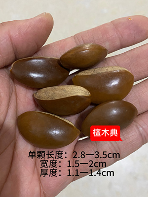 天然金蝉子手串散珠单颗佛眼