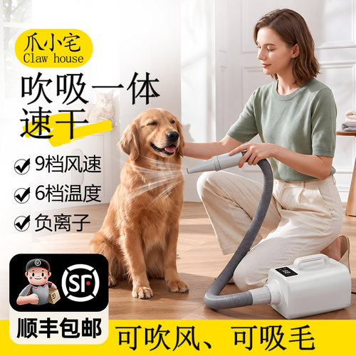 宠物吹水机狗狗吹风机大功率吹吸一体大型犬猫咪专用烘干吹毛神器
