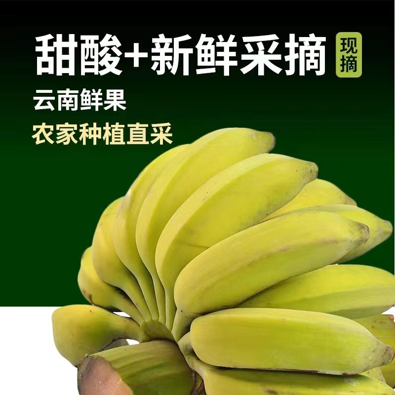 【农户直发】云南野生小米蕉新鲜水果当季新鲜水果包邮,水产肉类/新鲜蔬果/熟食,香蕉,淘宝优惠券,粉丝福利购,淘宝优惠卷