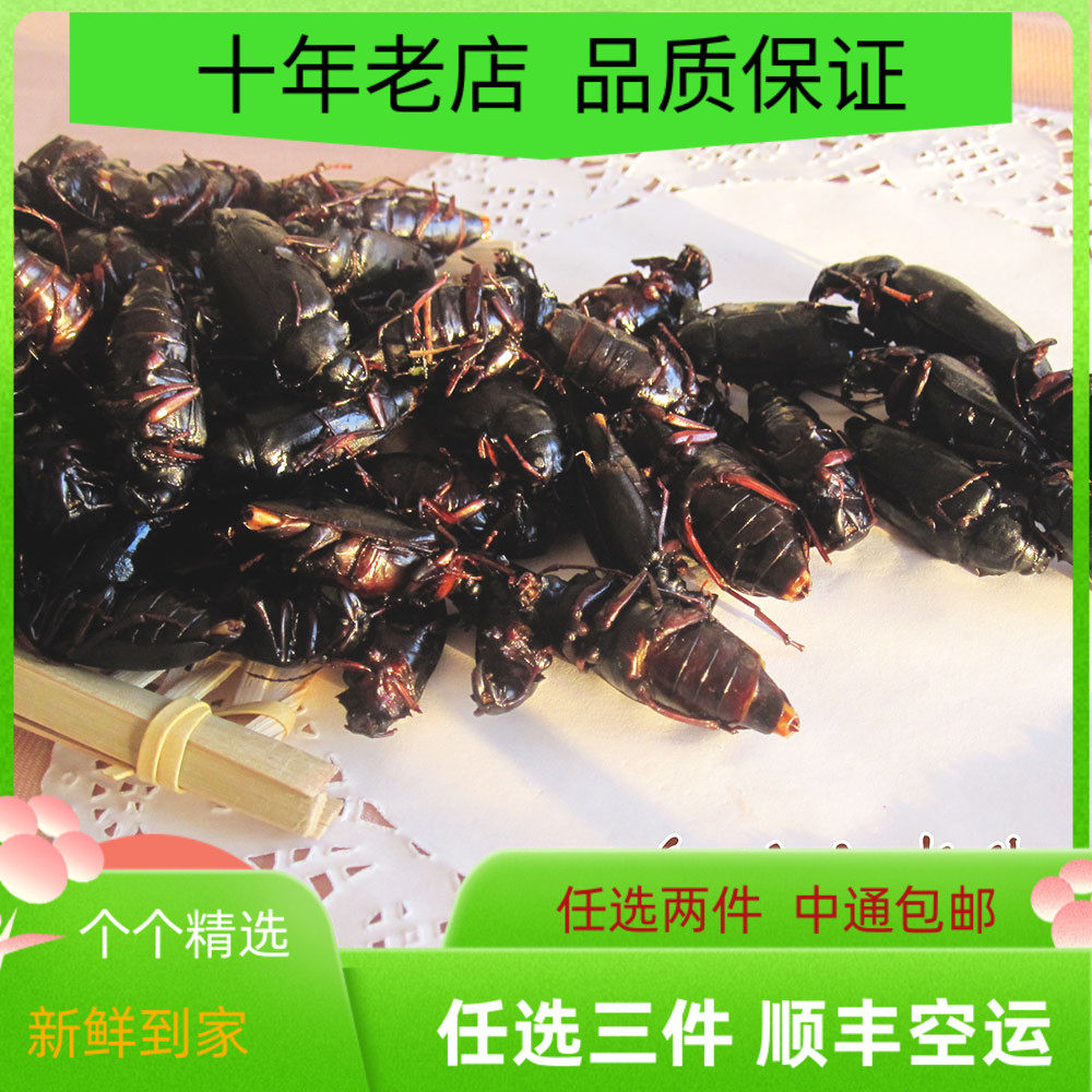 2023新鲜山水牛 山山牛 天牛 山牛虫 公山水牛 山东 包邮500g