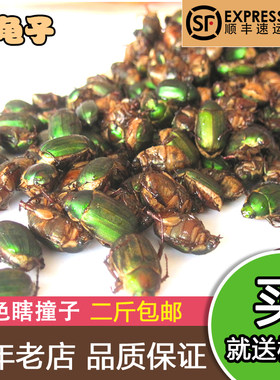 包邮新鲜绿色瞎闯子金龟子