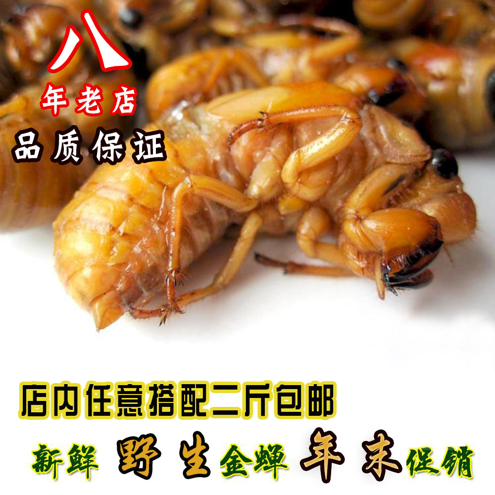 包邮新鲜金蝉 知了猴 唐僧肉 节流龟 蝉蛹 知了龟昆虫 500g,粮油调味/速食/干货/烘焙,其他食品,淘宝优惠券,粉丝福利购,淘宝优惠卷