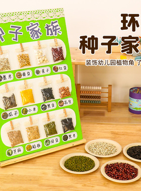 幼儿园环创装饰主题墙面区域区角材料布置种子中大班植物自然角