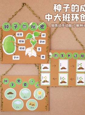 幼儿园种子环创春天装饰手工制作材料玩教具自制区域科学区植物
