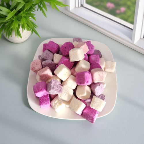 冻干果粒酸奶块烘焙原料多口味