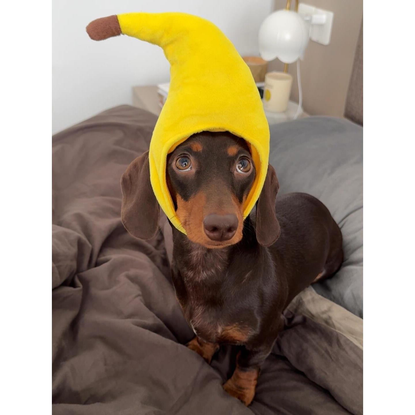 香蕉狗帽子宠物衣服头饰创意火鸡狗狗猫咪头套腊肠泰迪小型犬用