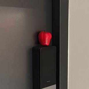 【苹苹安安】 智能门锁装饰摆件玄关入户门装饰新家创意门把手套