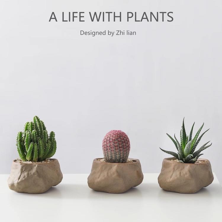 万重山盆栽红太阳网红多肉植物办公室内桌面懒人好养绿植花卉盆景