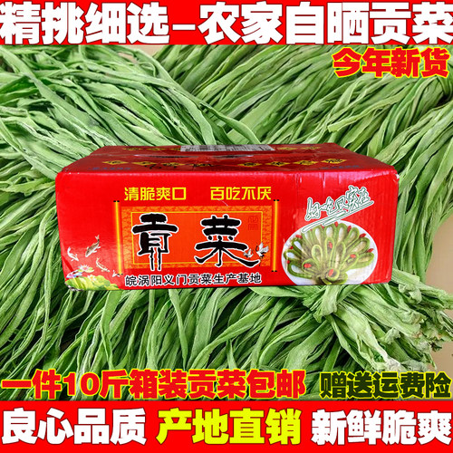 精选无叶贡菜新鲜苔干苔菜