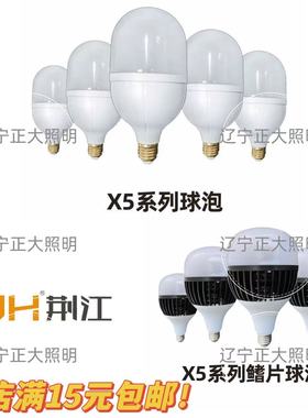 LED灯泡荆江光源足功率节能灯e27螺口5w10w15w20w30w40w50w球泡